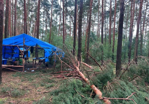 Ponad 120 interwencji po burzach w Wielkopolsce. Ewakuowano uczestników obozu harcerskiego