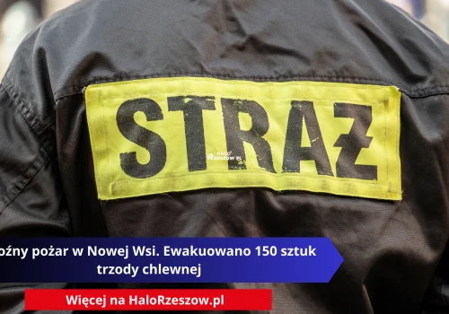 Groźny pożar w Nowej Wsi. Ewakuowano 150 sztuk trzody chlewnej