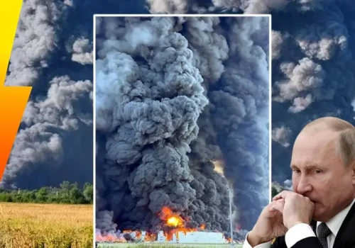 Grzyby aż do nieba! Totalny pogrom wokół Moskwy (WIDEO)
