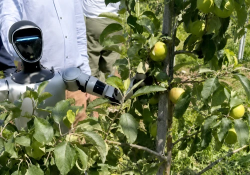 Robot w polskim sadzie. Zrywał jabłka i brzoskwinie, ale czy zdał egzamin?