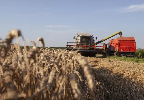 El Niño może uderzyć w rolnictwo. Co oznacza dla polskich gospodarstw?