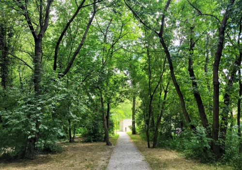 Park Łokietka zachwyca po rewitalizacji. Odkryj zieloną przestrzeń z historią w tle