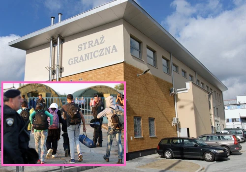 Martwa tłumaczka, która „pracuje”. Jak w Polsce fałszuje się dokumenty na legalizację pobytu