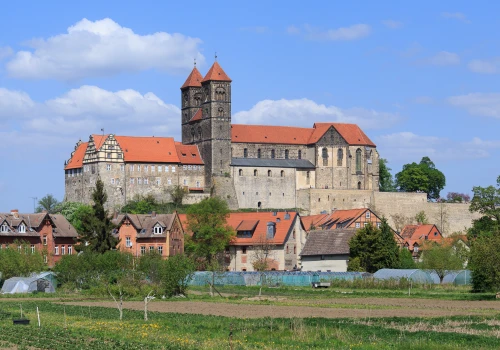 Naziści ukrywali prawdę o tym, co wykopali niemal sto lat temu. Teraz wyszła na jaw