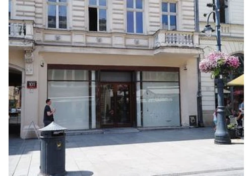 Łódź: Policzyliśmy puste lokale na Piotrkowskiej od Stajni Jednorożców do pl. Wolności. Wynik szokuje i wyciska łzy z oczu.