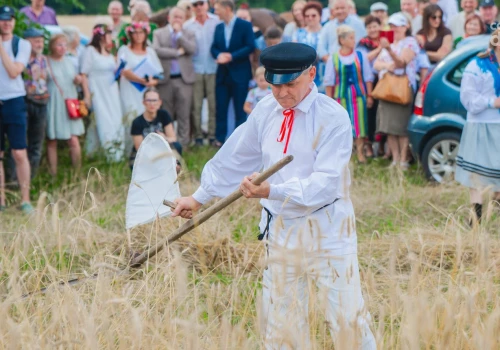 W Jastrzębi, jak w „Chłopach”. Żniwa czas zacząć!