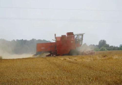 Nie ryzykuj w żniwa. Te elementy kombajnu kontroluj każdego dnia