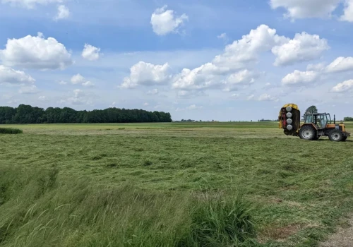 Łąkę nawozi się w trzech terminach. Jakie dawki stosować?