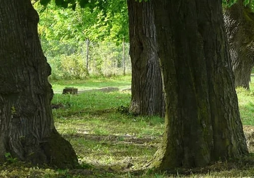 Alejki, staw, oświetlenie i zieleń. Tak zmieni się park w Urzejowicach
