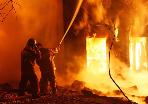 Zwierzęta giną w pożarach ferm. Jak zapobiec kolejnym tragediom?