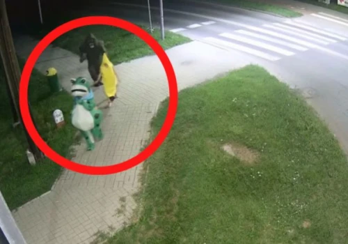 Goryl, żaba i banan przechadzali się po Włodawie. Niecodzienne nagranie z monitoringu