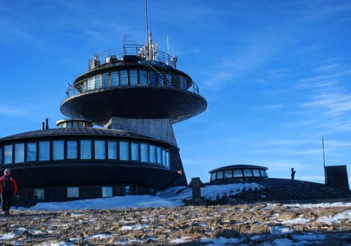 Kultowe 
