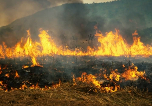 Pożar od prasy rolującej. Spłonęło 6 ha, straty to ponad 1,6 mln zł