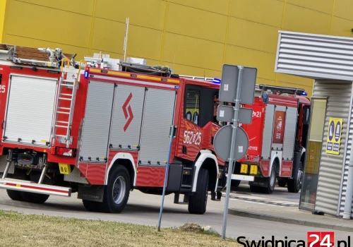 Akcja strażaków w zakładzie produkującym pieczywo m.in. dla sieci McDonald’s