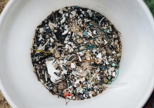 Mikroplastik w organizmie pod lupą. Ten preparat może pomóc go zatrzymać