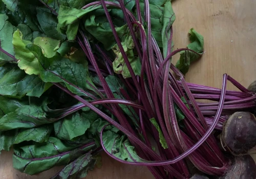 Wspiera serce i jelita. Ale ten polski superfood nie jest dla każdego. Komu może zaszkodzić?