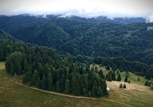 Siła ukryta w naturze. Inne oblicze Szczawnicy