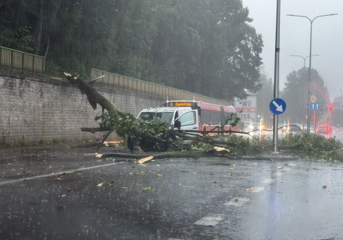 Nawałnica nad miastem: powalone drzewa, zalane drogi i piwnice
