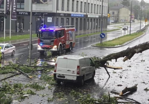Z ostatniej chwili: O krok od tragedii w Bielsku-Białej! Drzewo spadło na jadące auto, ulica zablokowana!