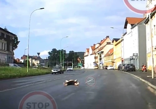 Nietypowe znalezisko na drodze w Wałbrzychu. Mężczyzna leżał na środku jezdni