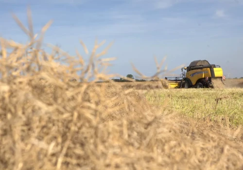 Pośpiech, zmęczenie i maszyny. Oto zasady, które pomogą uniknąć tragedii w czasie żniw