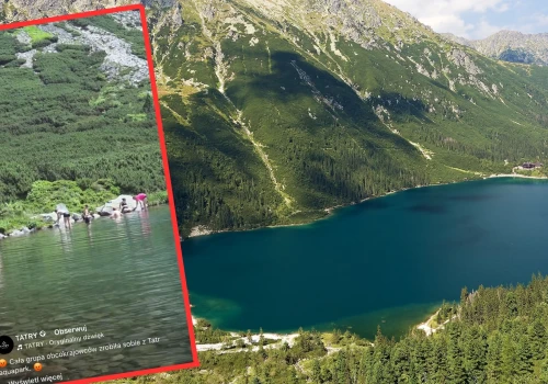 Pokazali nagranie z gór. Nie gryzą się w język. 
