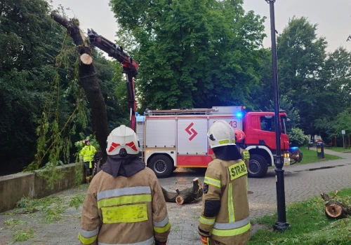 Ponad dwieście wyjazdów strażaków