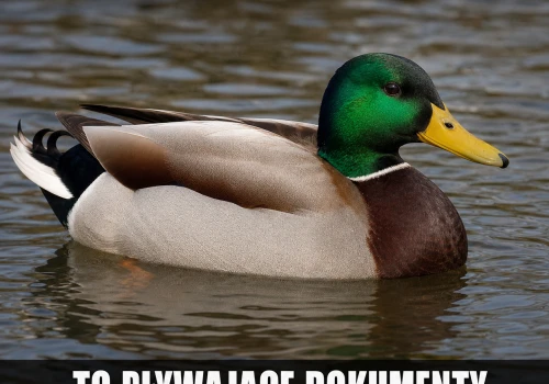 Kaczki mają tryb fabularny dla dorosłych