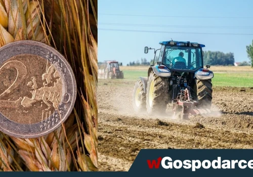 Wziąłeś pieniądze z KPO? Terminy gonią!