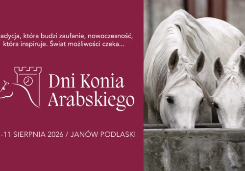 Zbliżają się Dni Konia Arabskiego