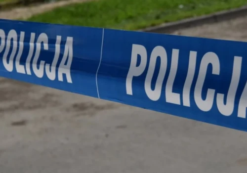 Auto w rowie, w środku martwy mężczyzna. Tragiczne zdarzenie w okolicy Ciechanowa