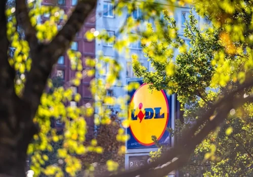 Lidl stawia na plenerowe kino i rebranding marki własnej Alesto