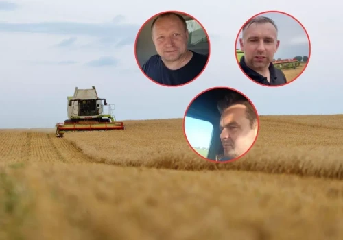 „Zamiast dożynek, będą dorzynki”. Rolnicy: myślimy tylko o tym, czy przetrwamy