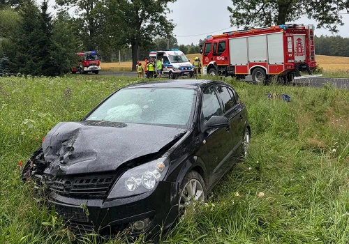 Opel wypadł z drogi. Na miejscu straż pożarna, pogotowie i policja