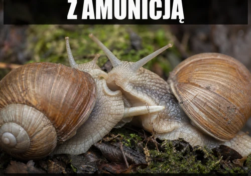 Ślimaczy Tinder wymaga kamizelki