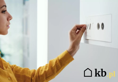 Pellet czy kocioł indukcyjny? Wyliczyliśmy różnicę w rachunkach dla domu 100 m²