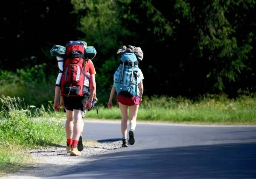 Z Helu nad Adriatyk. Nowy szlak Wolf Trail liczy prawie 3,5 tys. kilometrów