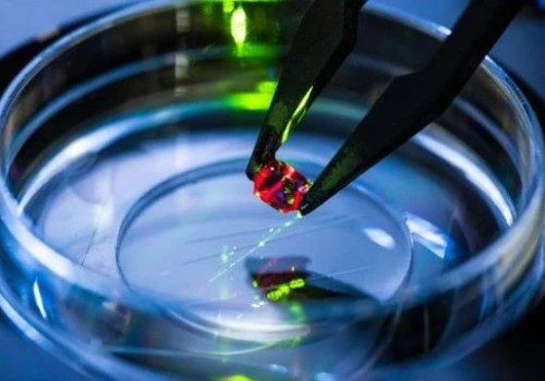Naukowcy z UJ opracują kosmiczny magnetometr dla ESA