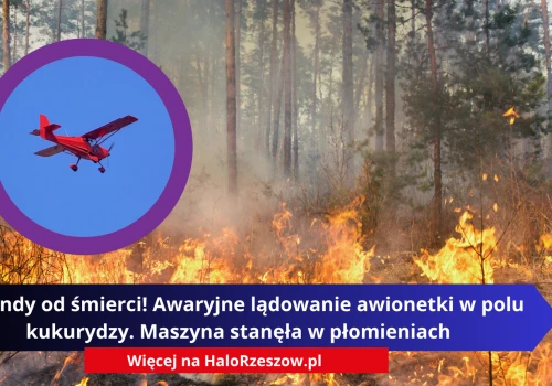Sekundy od śmierci! Awaryjne lądowanie awionetki w polu kukurydzy. Maszyna stanęła w płomieniach