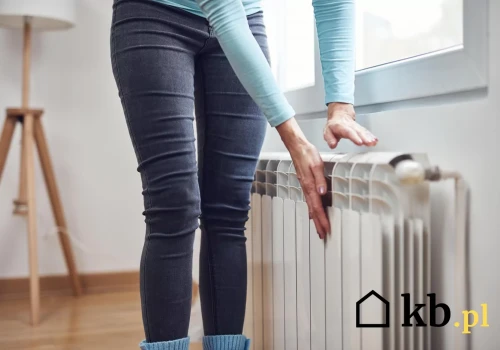 Ten popularny sposób zabezpieczenia instalacji może przynieść więcej szkód niż pożytku