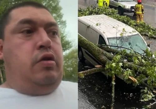 Bielski raper cudem przeżył. Na jego auto zwaliło się drzewo