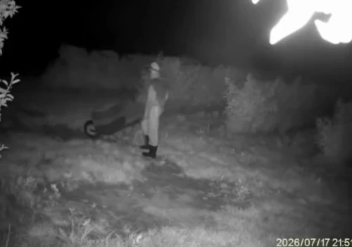 Nocny skok na plantację malin? Zostawili taczkę i płaszcze. „Monitoring wszystko nagrał”