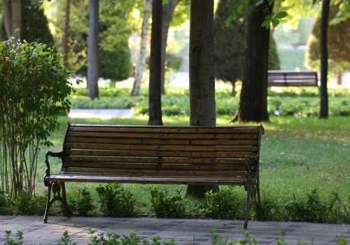 W Sandomierzu powstaną parki kieszonkowe