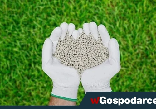 Sprowadzamy coraz mniej nawozów spoza UE