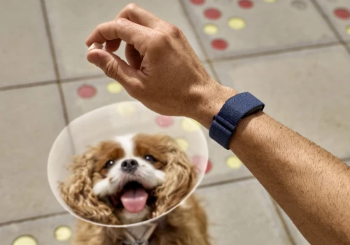 Garmin CIRQA kosztuje 859 zł i nie ma ekranu. Część funkcji wymaga abonamentu