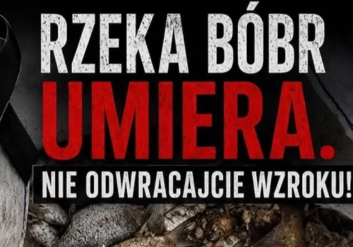 Zapowiadają pokojowy protest w obronie Bobru. Mogą wystąpić utrudnienia na DK 5