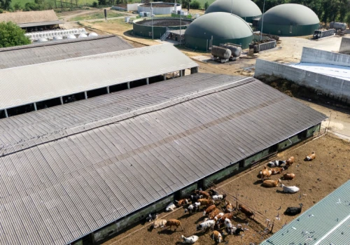 Spór o fermę i biogazownię. Burmistrz odmówił, inwestor zarzuca mu uleganie presji