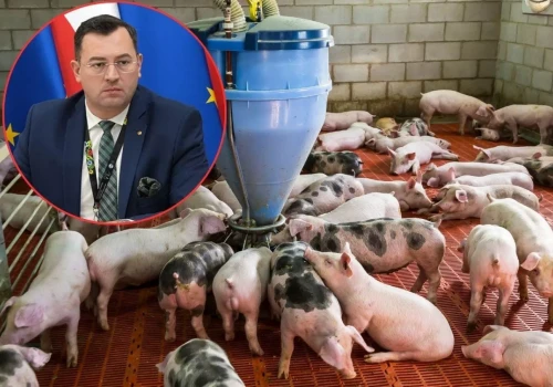 Minister rolnictwa prosi KE o pomoc dla polskich rolników. „Ceny wciąż spadają”