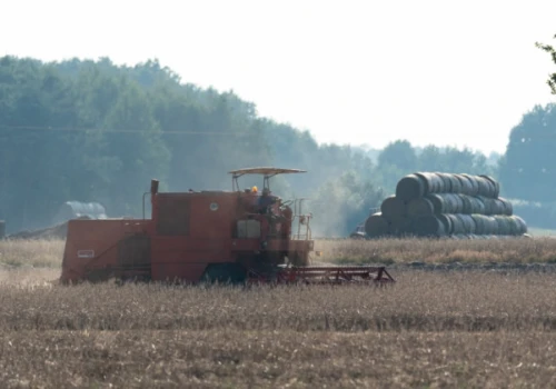 Minister o pracy w polu nawet nocą. Trudne żniwa przed rolnikami