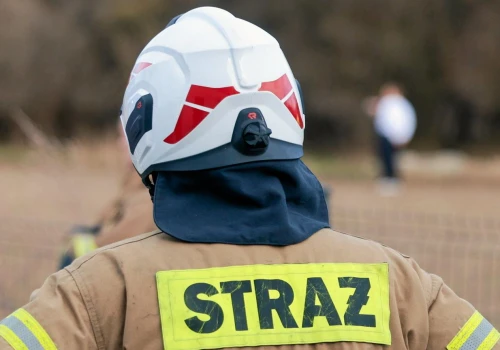 Tragiczne zdarzenie pod Włocławkiem. Strażak zmarł po użądleniu przez szerszenia
